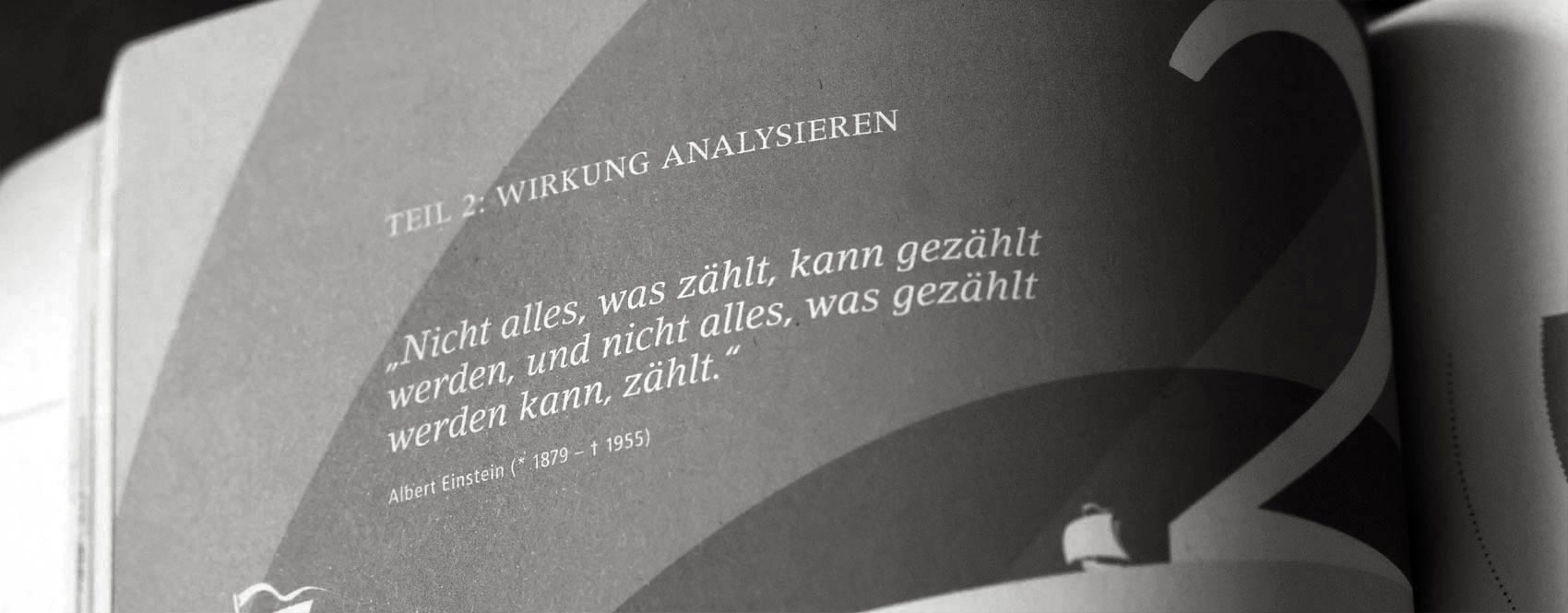 a detail from chapter page of the Social Impact Navigator. The quote by Albert Einstein reads " Not everything that counts, can be counted. Not everything that can be counted, counts." wise words, motivation, peace of mind, good quotes, stem, mint, book design, illustration