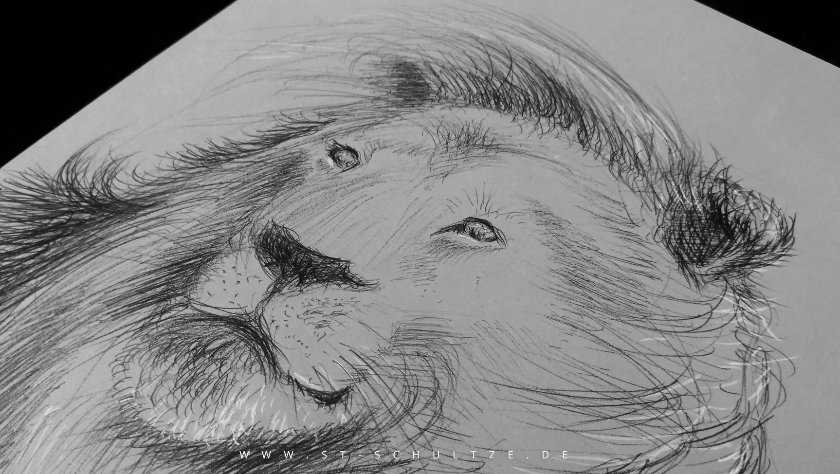 art drawing painting illustration by Stefan Schultze: Lion king portrait. Loewe Zeichnung. Kunst.