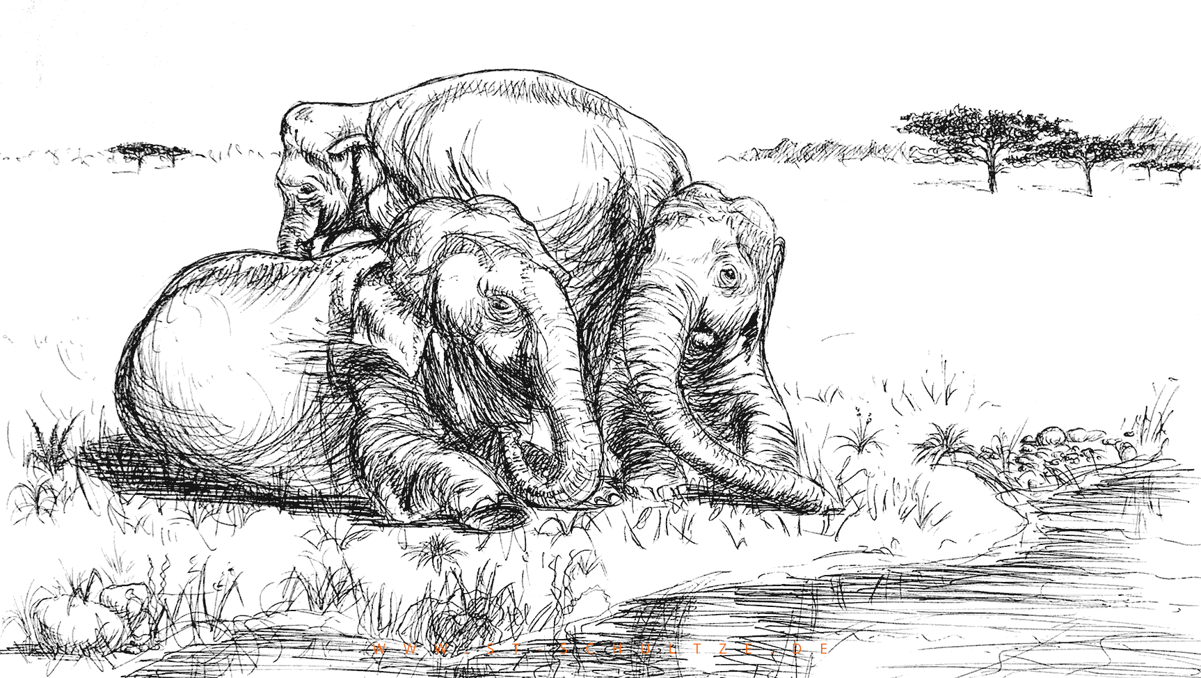 art drawing painting illustration by Stefan Schultze: three elephants - wildlife conservation, drei elephanten