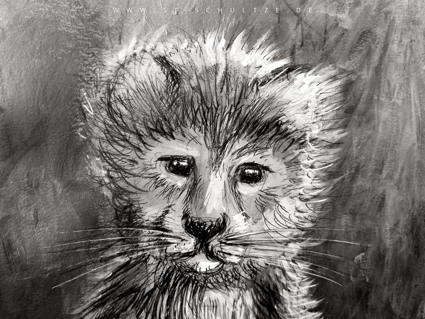 art drawing painting illustration by Stefa Schultze: Cheetah cub portrait, a species with endangered species status - wildlife conservation, Gepard, young gepard