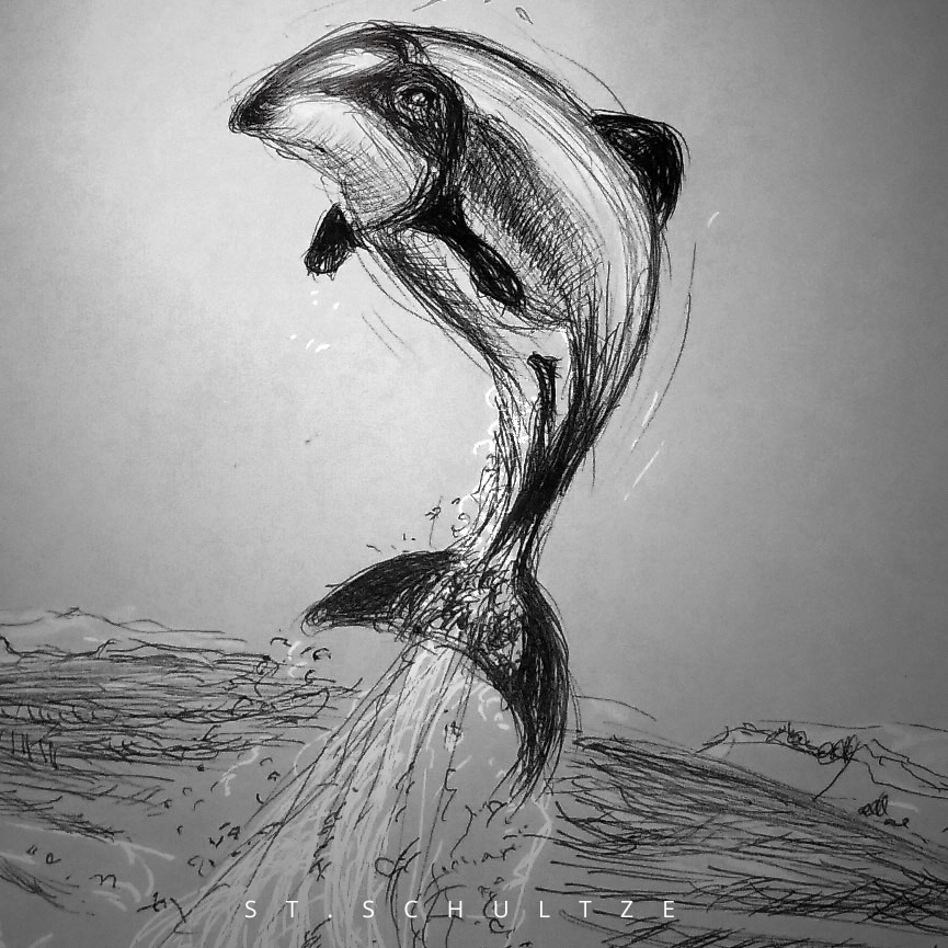 art drawing painting illustration by Stefan Schultze: one of the last 42 to 60 MAUI DOLPHINS - wildlife conservation, mauidolphin, delphin, dolphinlovers, ocean, maui, Maui Delphin
