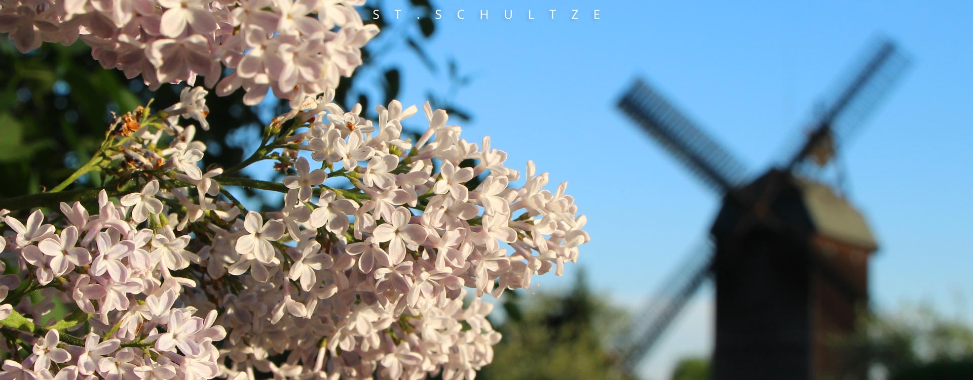 old windmill first glimpse, scroll down for more, travel Photography by Stefan Schultze