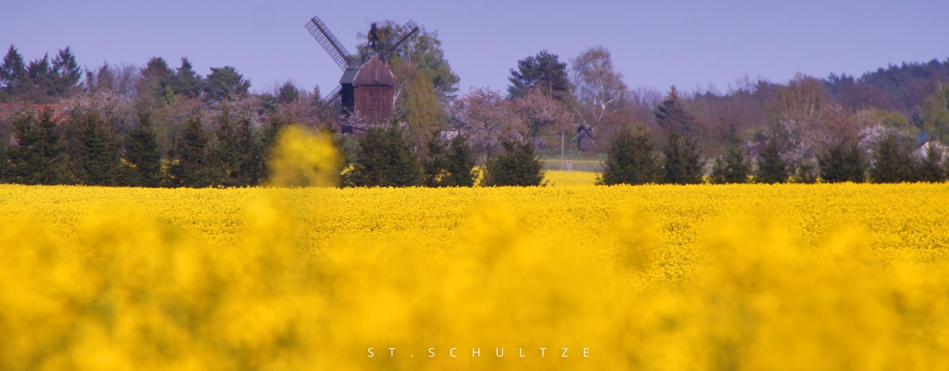 yellow fields summervibes with old windmill, travel Photography by Stefan Schultze