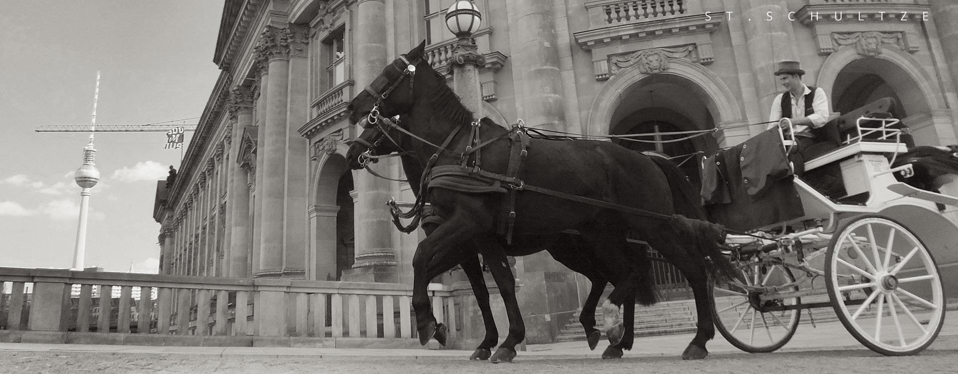 white wedding horses carriage, weisse Hochzeitspferdekutsche, horses, pferde, sightseeing, iconic architecture, vintage mobility photographed by St.Schultze