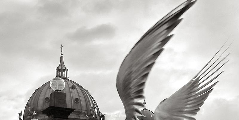 Berliner Dom, Wings, Doves, Moewen, Architektur, architecture, photograph, Fotograf, Berlin, photography by Stefan Schultze