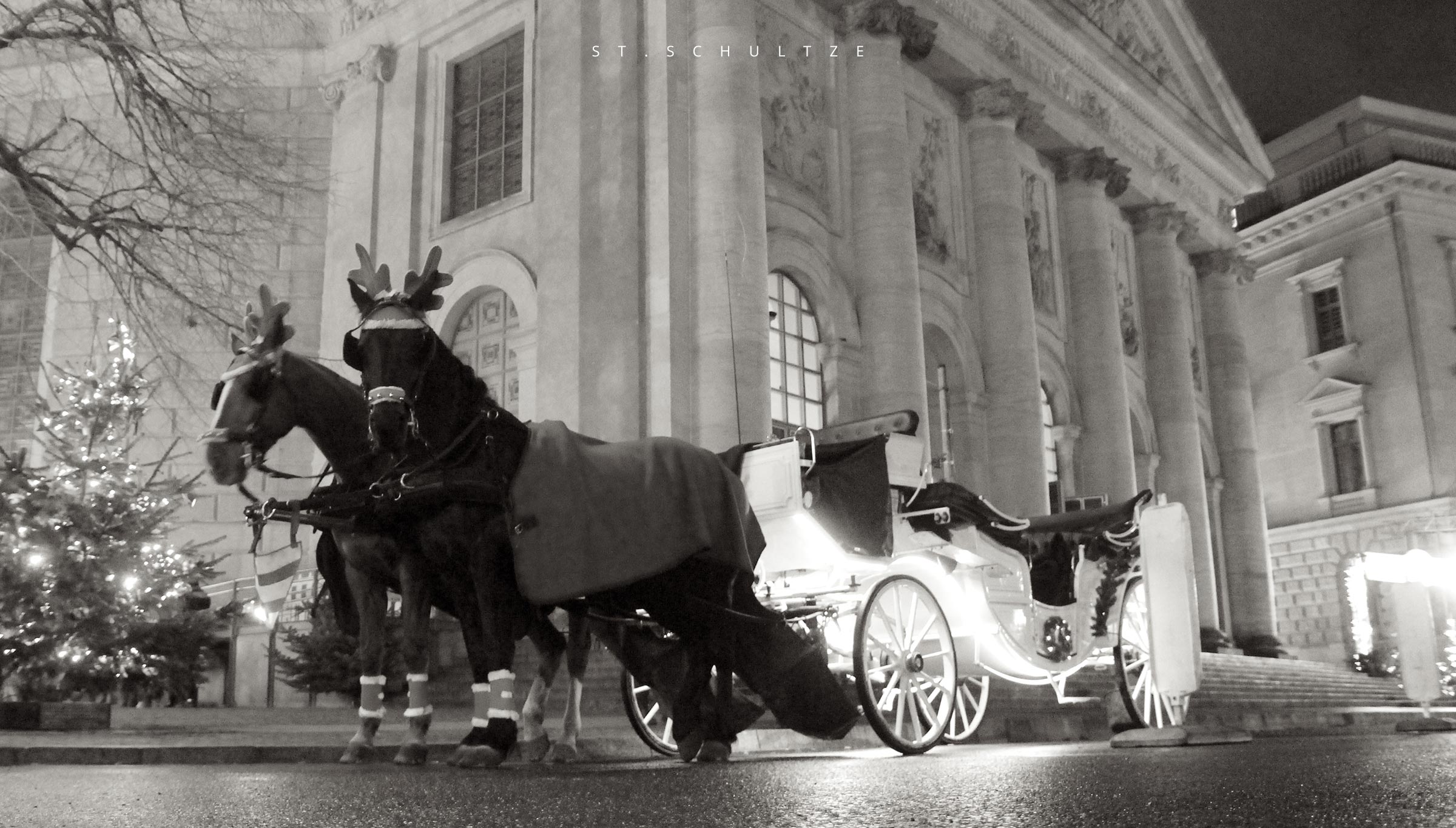 Horse cosplay: seen during the holiday season in Berlin. In the words of the  horses: don&prime;t tell the pod I was Rudolph the rednosed reindeer - white horse carriage at christmas. Photography by St.Schultze, pferde, pferdeschmuck, pferde styling, animal photography, poetic photography