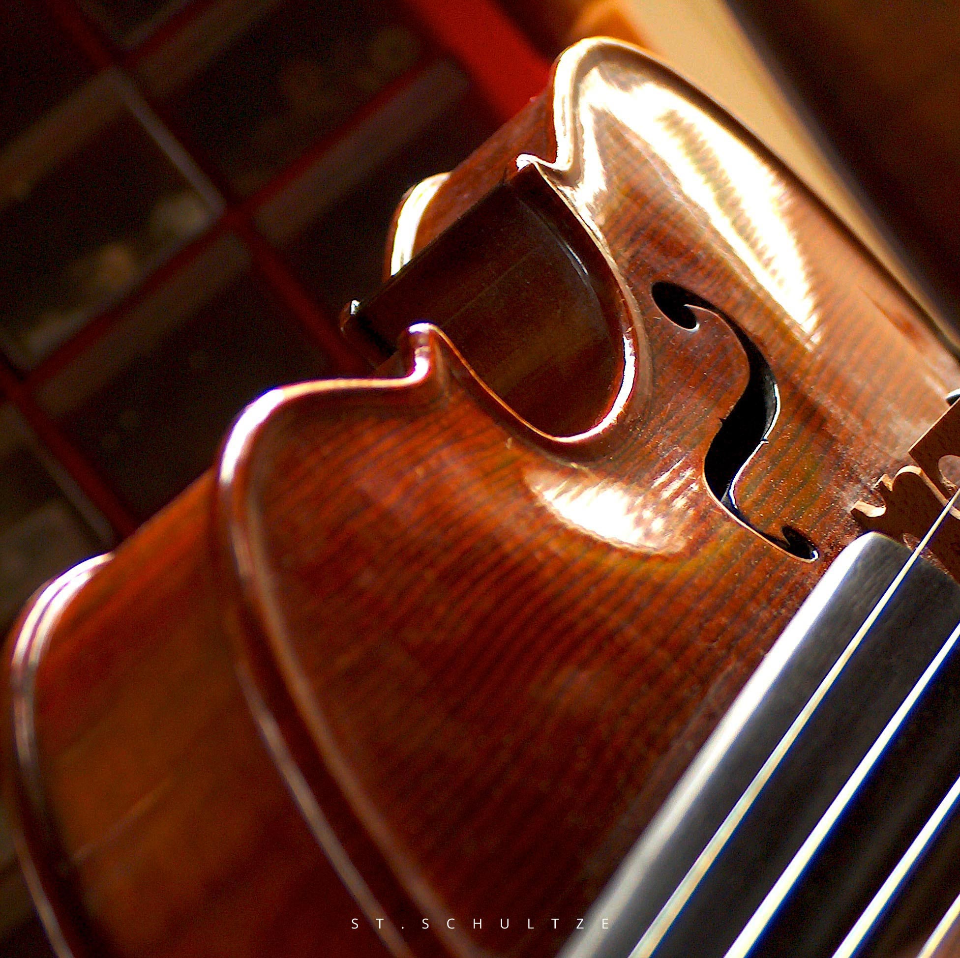 vintage violin detail, craftmansship, instrumentbuilder, PHOTOGRAPHY by Stefan Schultze.